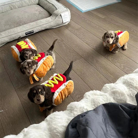 Funny Hot Dog Costume for Pets