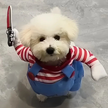 Chucky Halloween Pet Costume