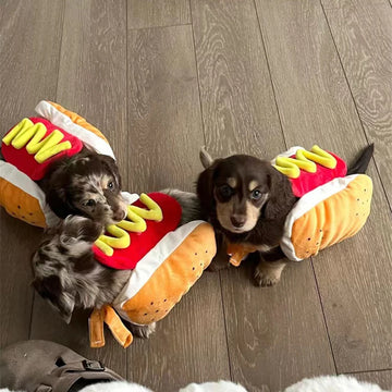 Funny Hot Dog Costume for Pets
