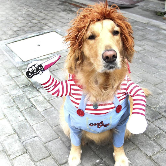 Canine Fantasy Chuck Costume for Halloween