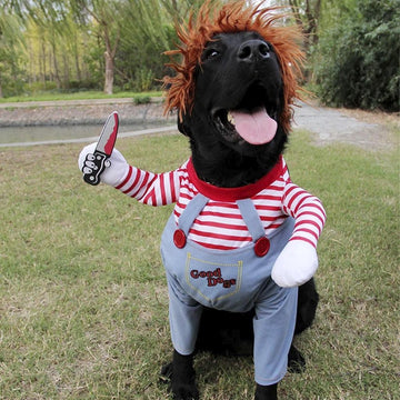 Canine Fantasy Chuck Costume for Halloween